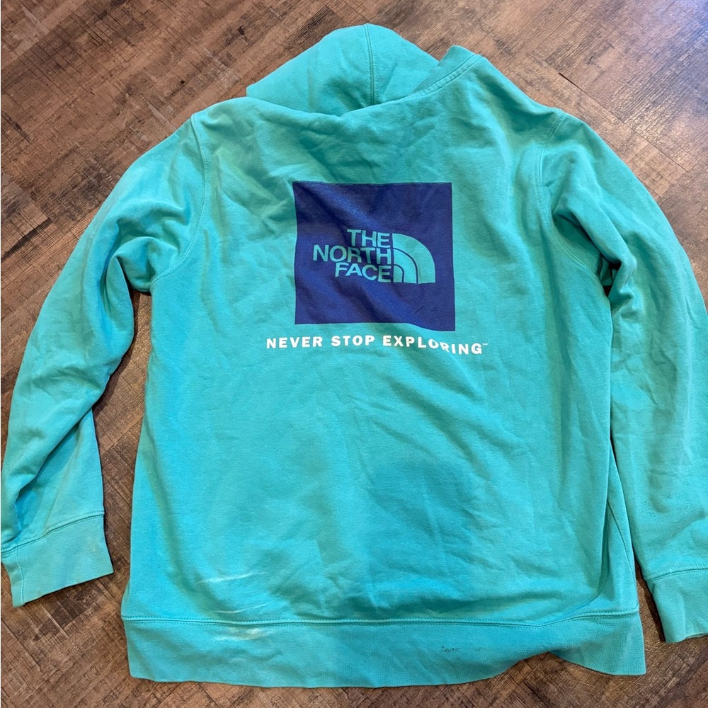 The North Face Aqua Hoodie with Logo